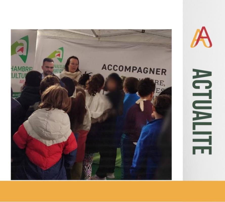 11 octobre 2026 : Marché des Pays de l'Aveyron : Une école du 12ᵉ arrondissement à la découverte de la transhumance