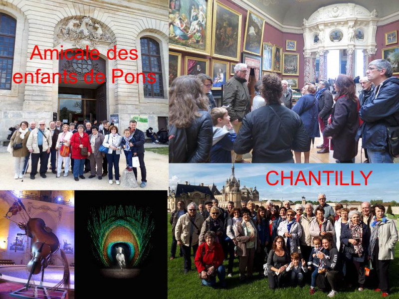 L’amicale des enfants de Pons à Paris a mis à son programme printanier la découverte du Domaine de Chantilly
