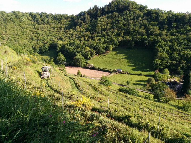 Le Petit Bougnat – entre Vignes et Comptoir