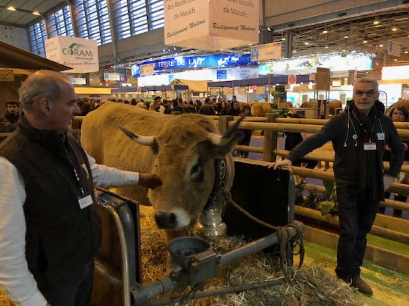 Salon Internationale de l'Agriculture 2018, lieu de rencontre entre une belle blonde et un beau brun.